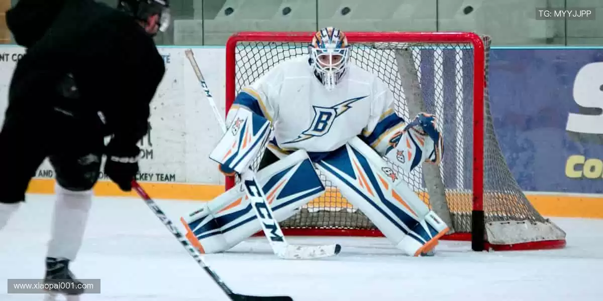 高清画质 + 专业解说，打造沉浸式观赛体验！🎧